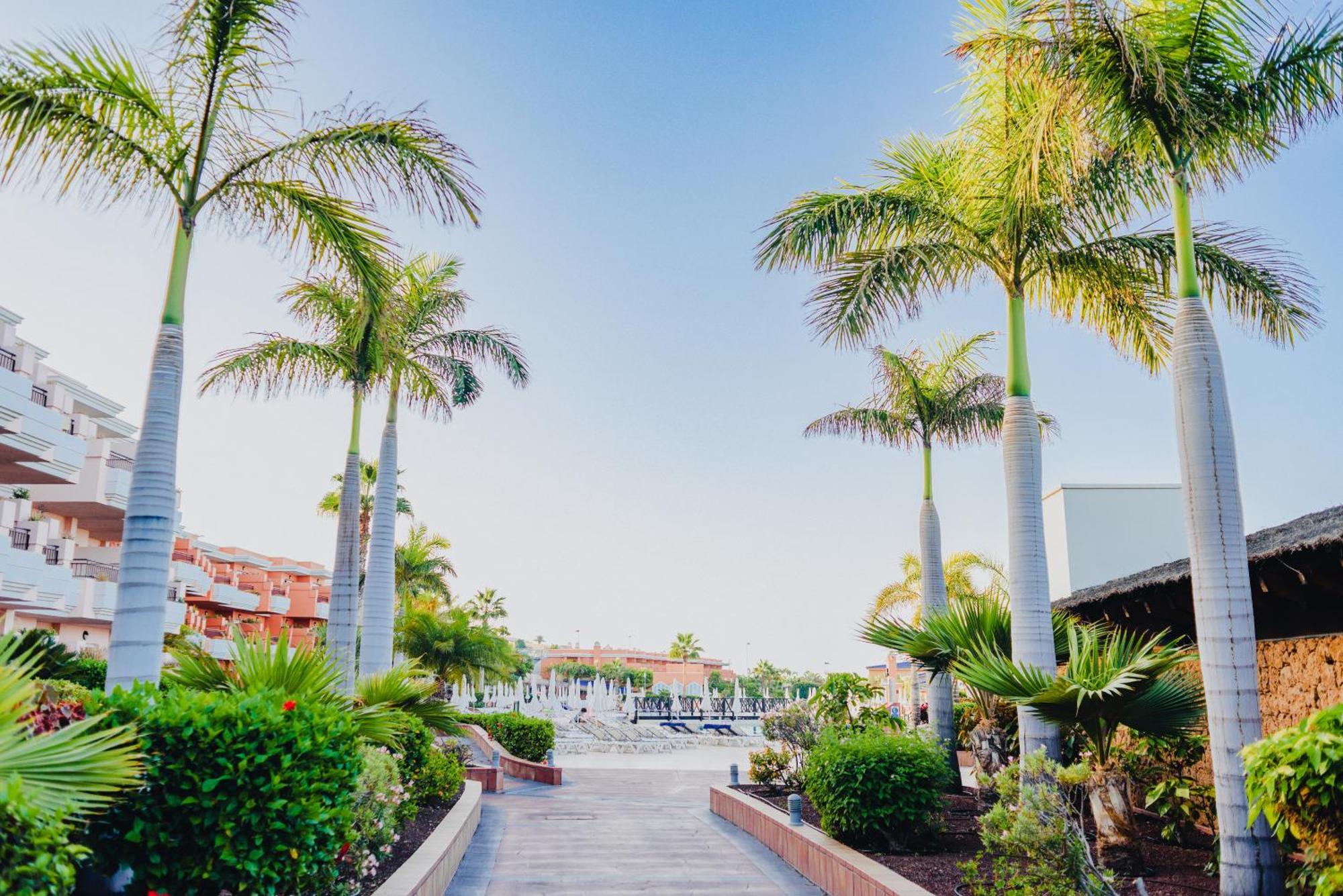 Hotel Landmar Costa Gigantes Family 4*